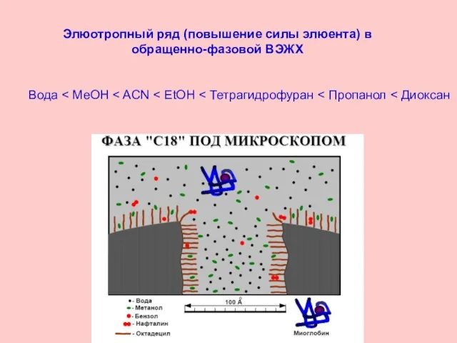 Элюотропный ряд (повышение силы элюента) в обращенно-фазовой ВЭЖХ Вода