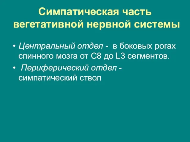 Симпатическая часть вегетативной нервной системы Центральный отдел - в боковых рогах спинного