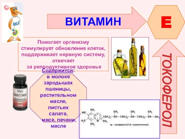 ВИТАМИН E ТОКОФЕРОЛ Помогает организму стимулирует обновление клеток, поддерживает нервную систему, отвечает