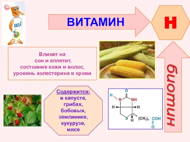 ВИТАМИН H биотин Влияет на сон и аппетит, состояние кожи и волос,