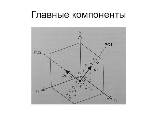 Главные компоненты