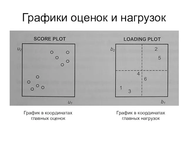 Графики оценок и нагрузок График в координатах главных оценок График в координатах главных нагрузок