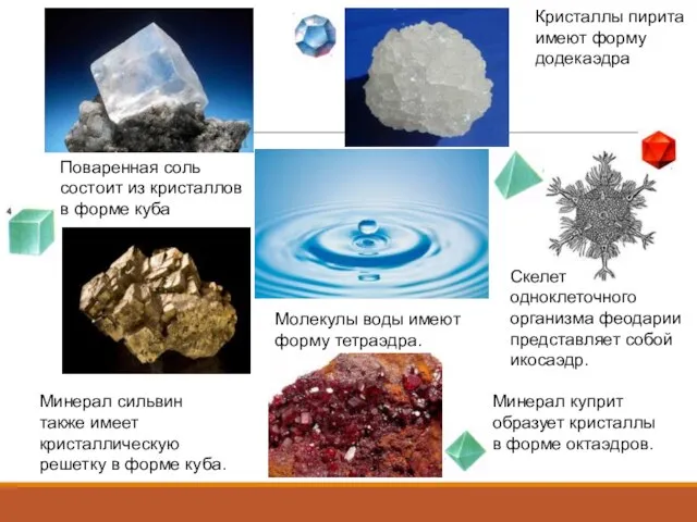 Поваренная соль состоит из кристаллов в форме куба Скелет одноклеточного организма феодарии