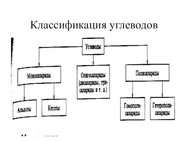 Классификация углеводов