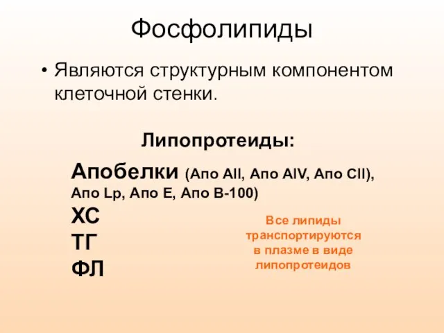 Фосфолипиды Являются структурным компонентом клеточной стенки. Липопротеиды: Апобелки (Апо АII, Апо АIV,