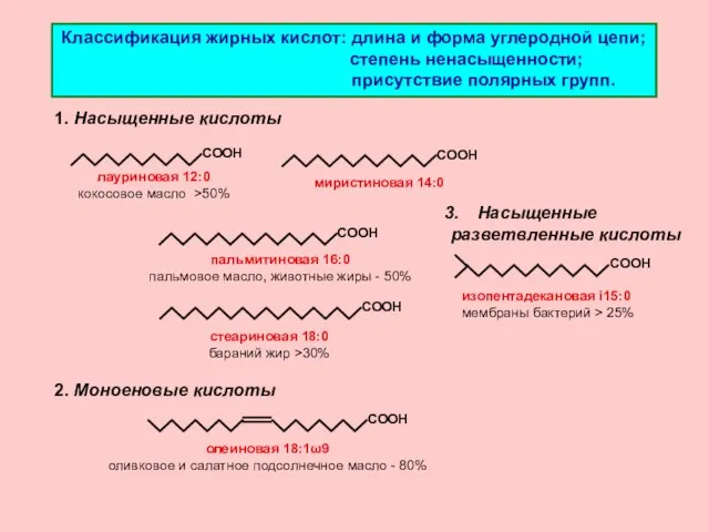 Классификация жирных кислот: длина и форма углеродной цепи; степень ненасыщенности; присутствие полярных