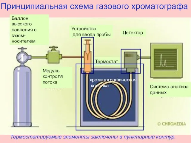 Принципиальная схема газового хроматографа Термостатируемые элементы заключены в пунктирный контур. Баллон высокого