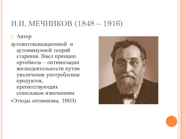 И.И. МЕЧНИКОВ (1848 – 1916) Автор аутоинтоксикационной и аутоиммунной теорий старения. Ввел