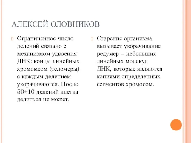 АЛЕКСЕЙ ОЛОВНИКОВ Ограниченное число делений связано с механизмом удвоения ДНК: концы линейных