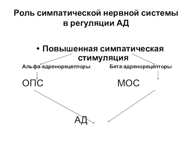 Роль симпатической нервной системы в регуляции АД Повышенная симпатическая стимуляция Альфа-адренорецепторы Бета-адренорецепторы ОПС МОС АД