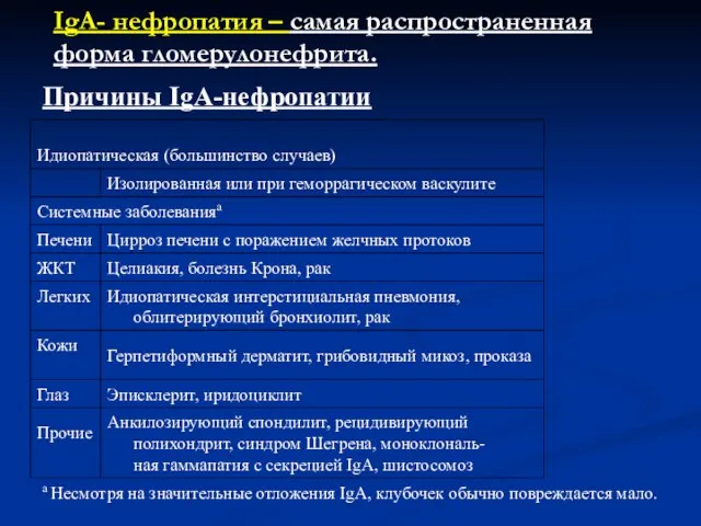 Причины IgA-нефропатии а Несмотря на значительные отложения IgA, клубочек обычно повреждается мало.