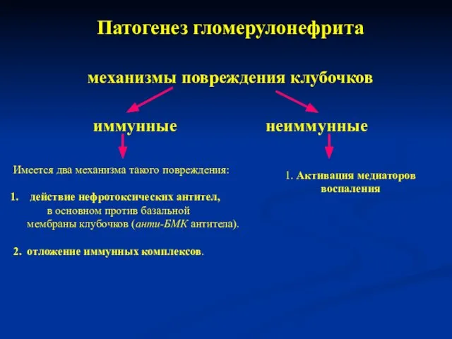 Патогенез гломерулонефрита механизмы повреждения клубочков иммунные неиммунные Имеется два механизма такого повреждения: