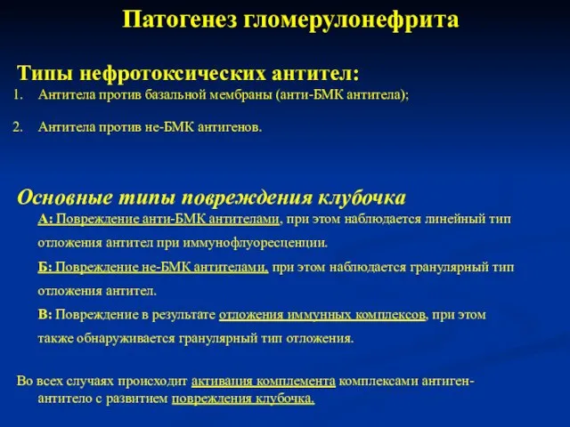 Типы нефротоксических антител: Антитела против базальной мембраны (анти-БМК антитела); Антитела против не-БМК