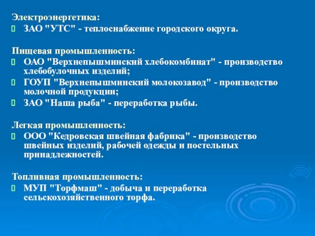 Электроэнергетика: ЗАО "УТС" - теплоснабжение городского округа. Пищевая промышленность: ОАО "Верхнепышминский хлебокомбинат"