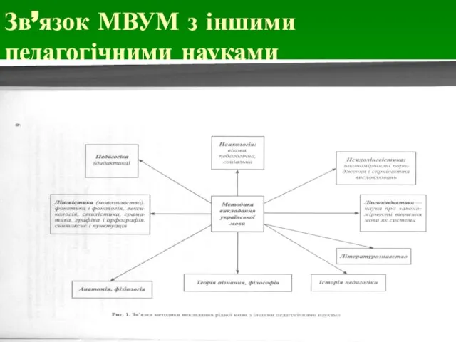 Зв’язок МВУМ з іншими педагогічними науками