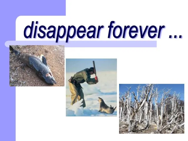 disappear forever ...