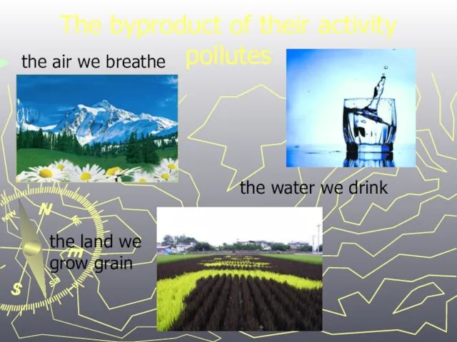 The byproduct of their activity pollutes the air we breathe the water