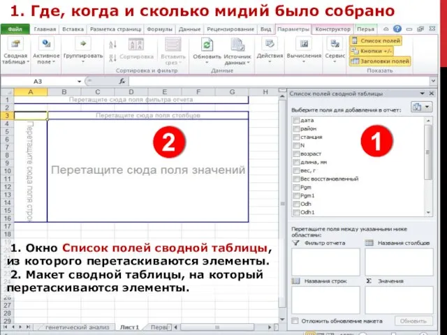 1. Где, когда и сколько мидий было собрано 1. Окно Список полей