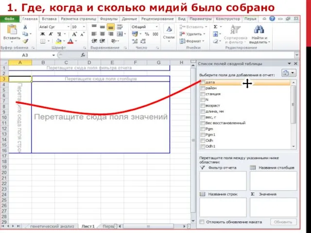 1. Где, когда и сколько мидий было собрано