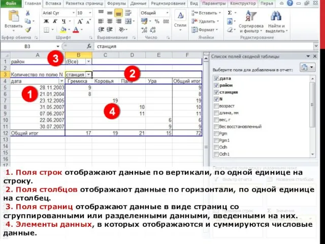 1 1. Поля строк отображают данные по вертикали, по одной единице на