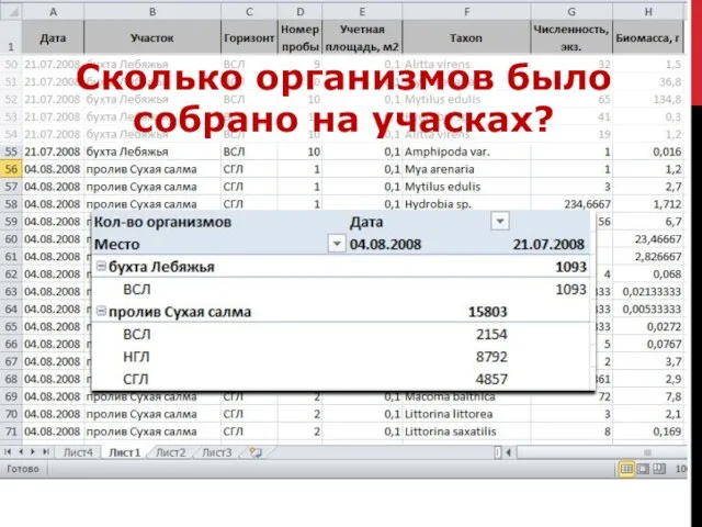 Сколько организмов было собрано на учасках?