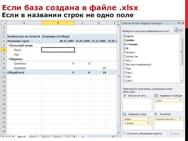 Если база создана в файле .xlsx Если в названии строк не одно поле