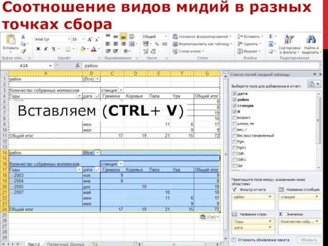 Соотношение видов мидий в разных точках сбора Вставляем (CTRL+ V)