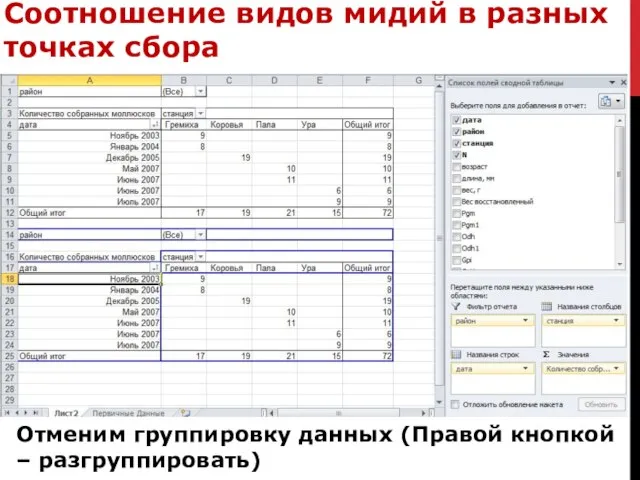 Соотношение видов мидий в разных точках сбора Отменим группировку данных (Правой кнопкой – разгруппировать)