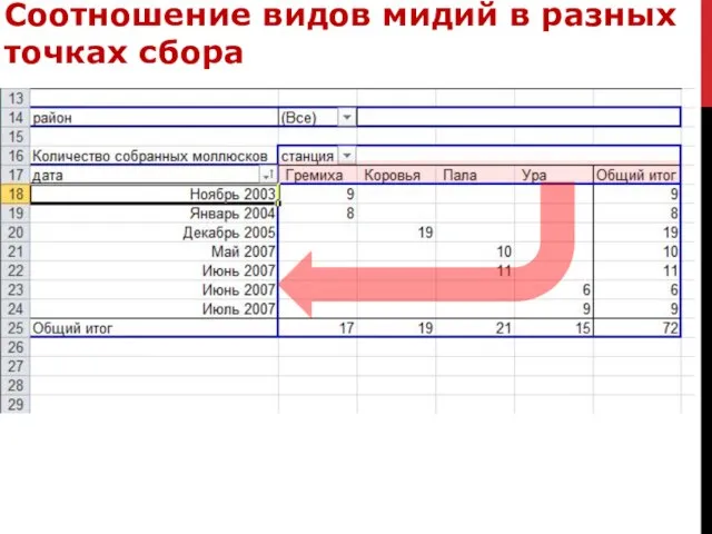 Соотношение видов мидий в разных точках сбора