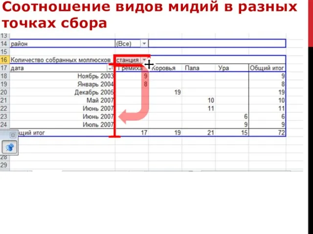 Соотношение видов мидий в разных точках сбора