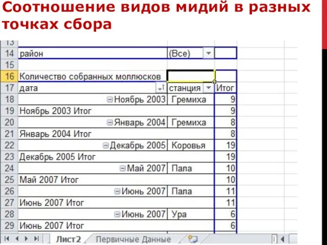 Соотношение видов мидий в разных точках сбора