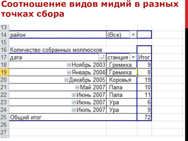 Соотношение видов мидий в разных точках сбора