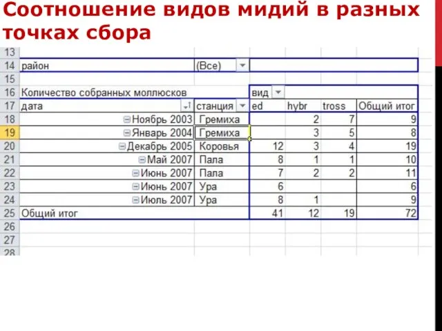 Соотношение видов мидий в разных точках сбора