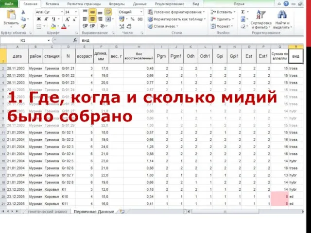 1. Где, когда и сколько мидий было собрано