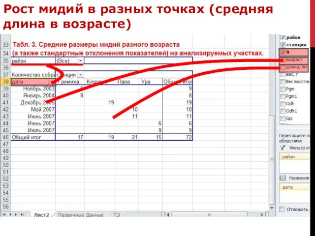 Рост мидий в разных точках (средняя длина в возрасте)