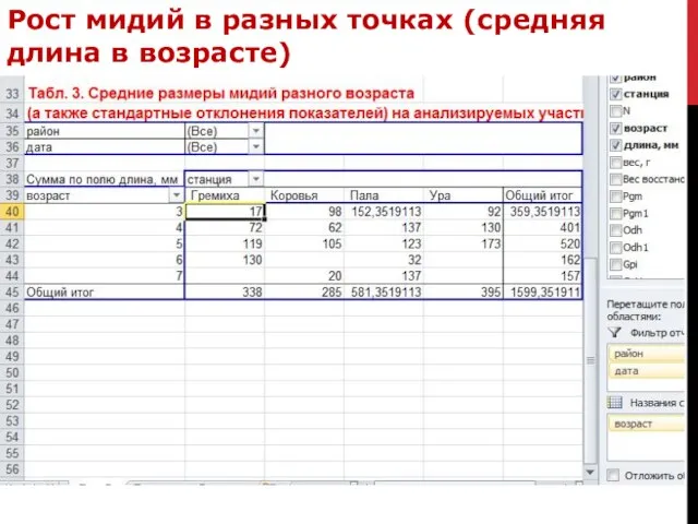 Рост мидий в разных точках (средняя длина в возрасте)