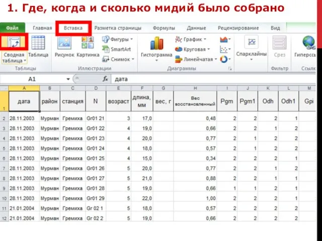 1. Где, когда и сколько мидий было собрано