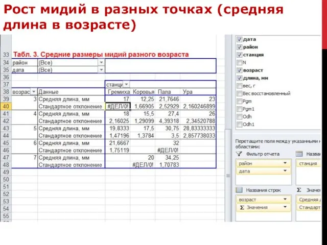 Рост мидий в разных точках (средняя длина в возрасте)