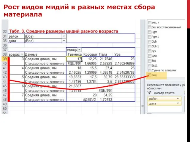 Рост видов мидий в разных местах сбора материала