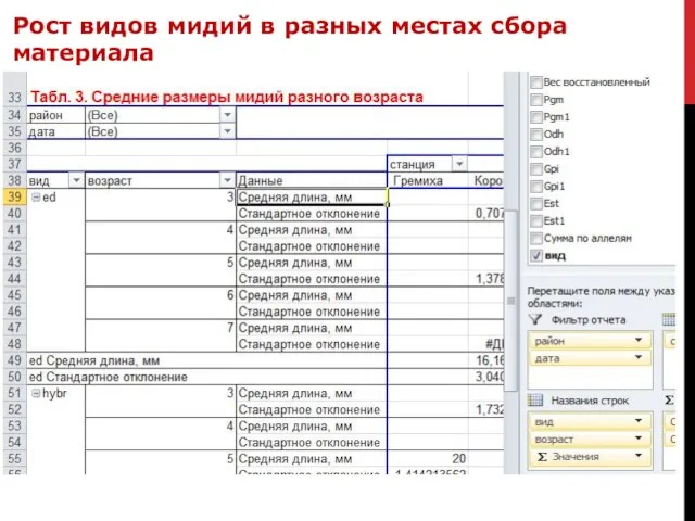 Рост видов мидий в разных местах сбора материала