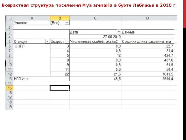 Возрастная структура поселения Mya arenaria в бухте Лебяжья в 2010 г.