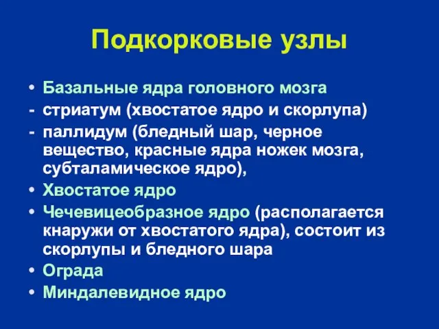 Подкорковые узлы Базальные ядра головного мозга стриатум (хвостатое ядро и скорлупа) паллидум