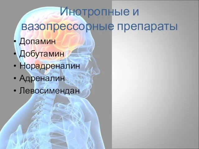 Инотропные и вазопрессорные препараты Допамин Добутамин Норадреналин Адреналин Левосимендан