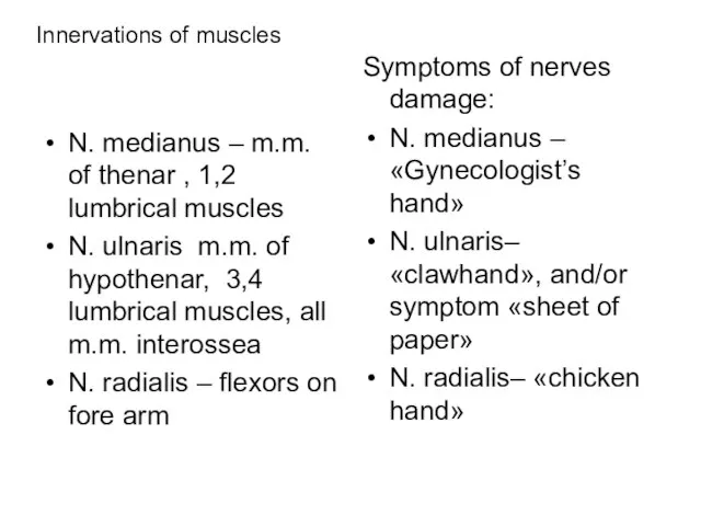 Innervations of muscles N. medianus – m.m. of thenar , 1,2 lumbrical