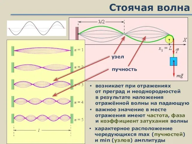 Стоячая волна характерное расположение чередующихся max (пучностей) и min (узлов) амплитуды возникает