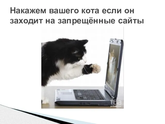 Накажем вашего кота если он заходит на запрещённые сайты