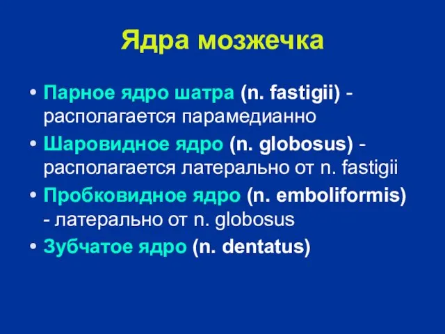 Ядра мозжечка Парное ядро шатра (n. fastigii) - располагается парамедианно Шаровидное ядро