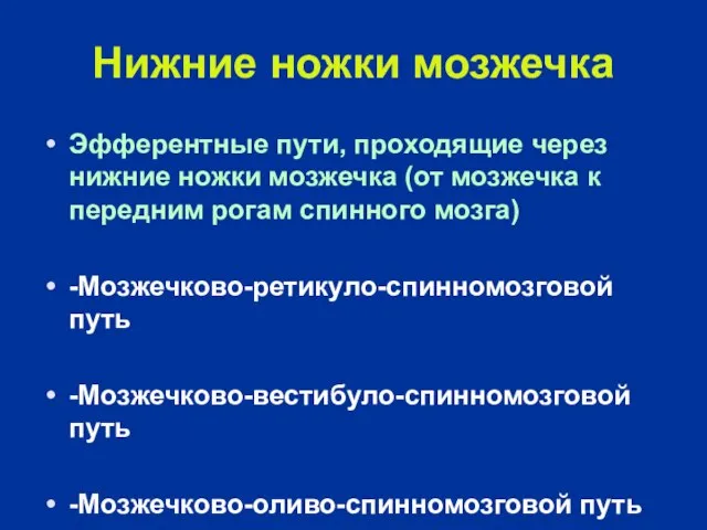 Нижние ножки мозжечка Эфферентные пути, проходящие через нижние ножки мозжечка (от мозжечка