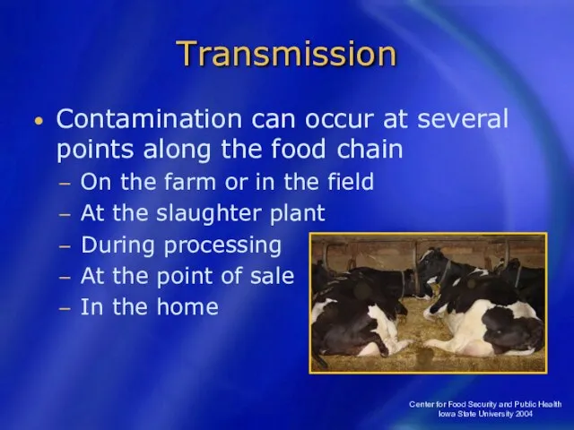 Center for Food Security and Public Health Iowa State University 2004 Transmission