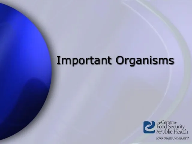 Important Organisms
